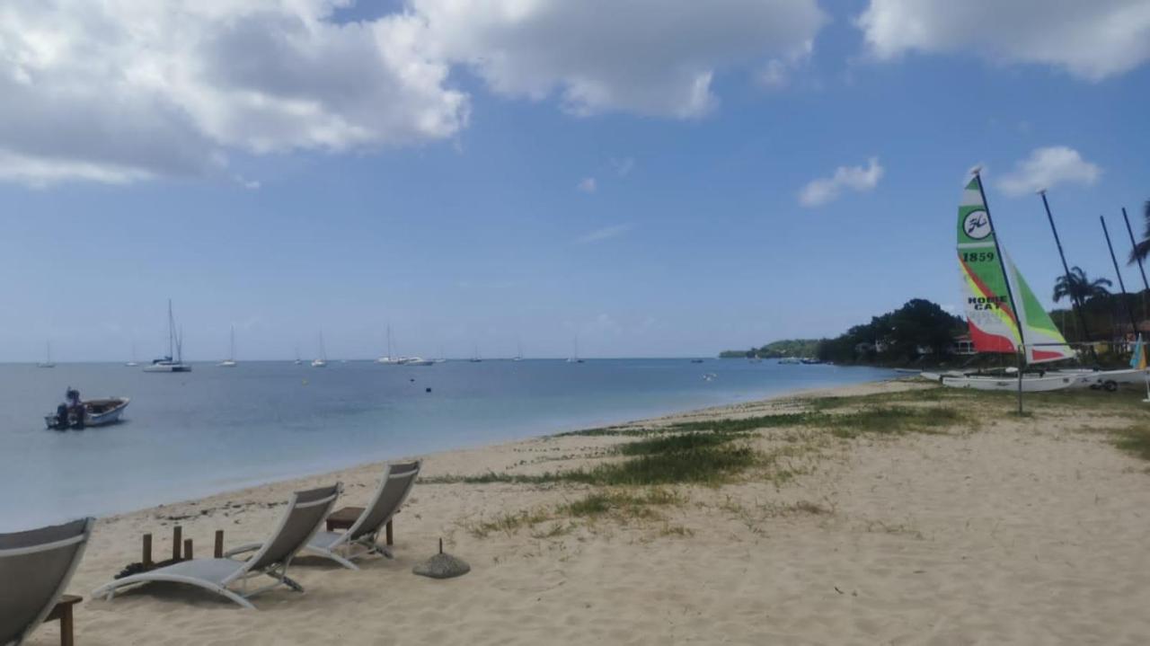 Studio Cosy Les Pieds Dans L'Eau A L'Autre Bord Le Moule Luaran gambar